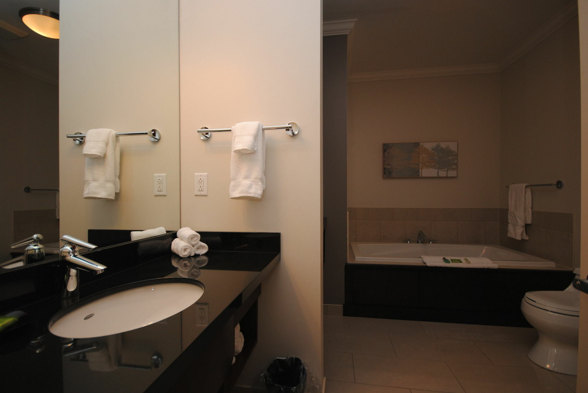Premiere Suites - St. John'S Signal Hill Gate Buitenkant foto